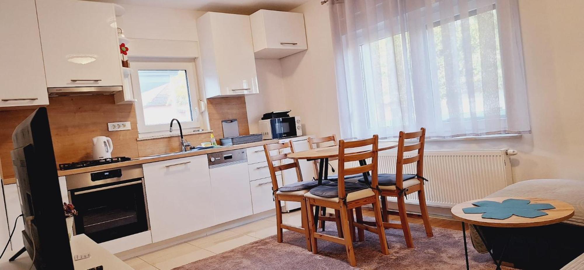 Apartment Silvia 萨格勒布 外观 照片
